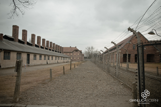 AuschwitzBirkenauDSC_7771.jpg