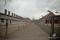 AuschwitzBirkenauDSC_7771.jpg