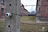 AuschwitzBirkenauDSC_7930.jpg