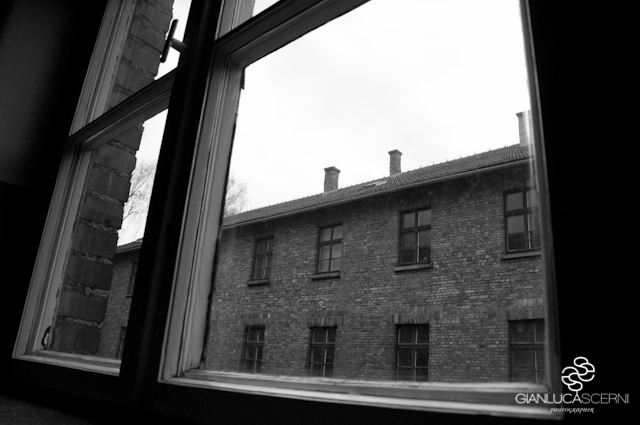 AuschwitzBirkenauDSC_7804.jpg