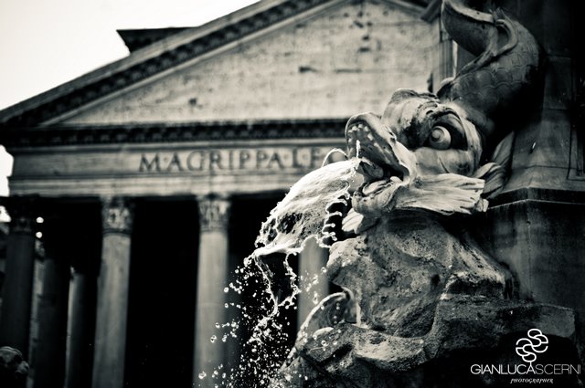Roma-20100310DSC_1340.jpg