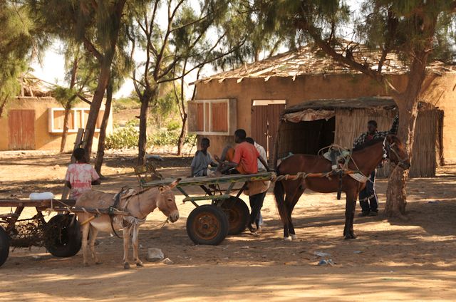 Senegal-DSC_6903.jpg