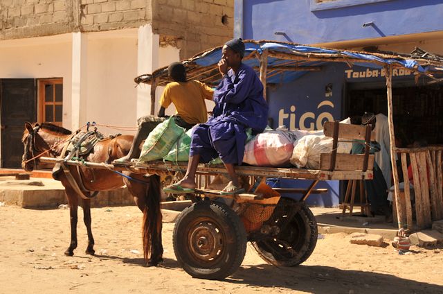 Senegal-DSC_6906.jpg