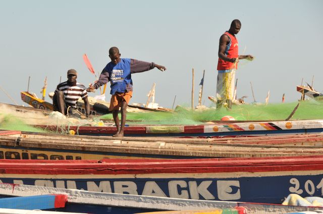 Senegal-DSC_6912.jpg