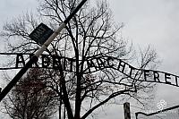 AuschwitzBirkenauDSC_7769.jpg