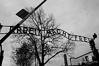 AuschwitzBirkenauDSC_7770.jpg