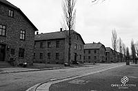 AuschwitzBirkenauDSC_7780.jpg