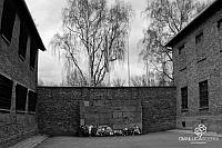 AuschwitzBirkenauDSC_7895.jpg