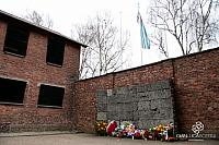 AuschwitzBirkenauDSC_7907.jpg