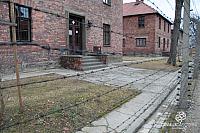 AuschwitzBirkenauDSC_7929.jpg