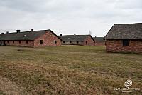 AuschwitzBirkenauDSC_8066.jpg