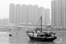 hongkongdsc_5549