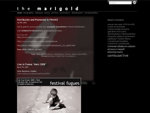 Per The Marigold Band non si vive di solo myspace